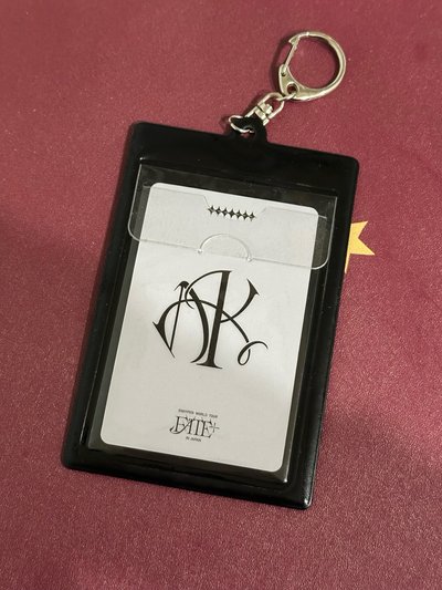 西村力Fate卡套+Fate dvd拍立得+小卡