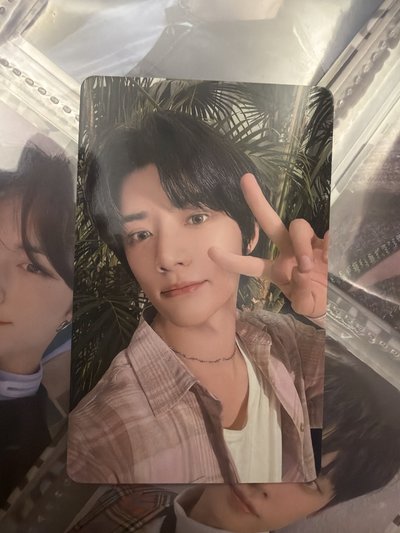 杋事順利圭 中背