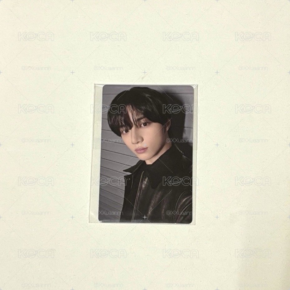 正規四 kkt pb 圭