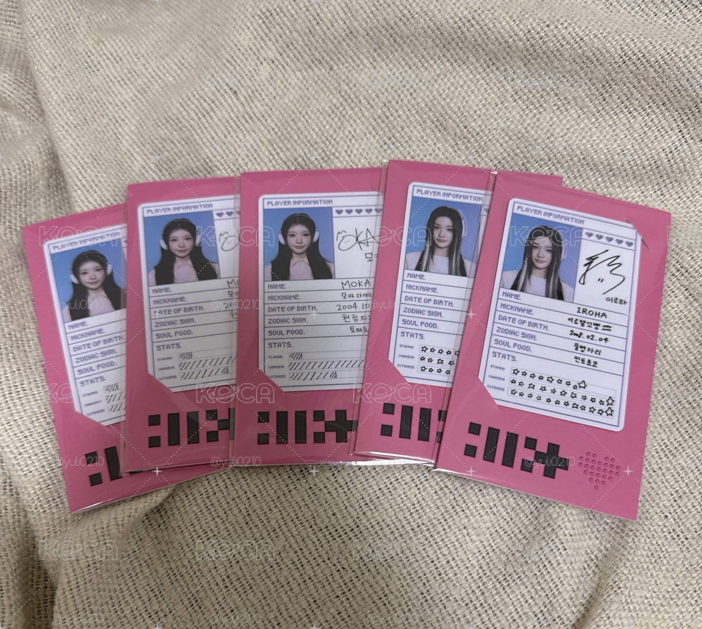 ILLIT｜一巡場週｜ID卡+證件照