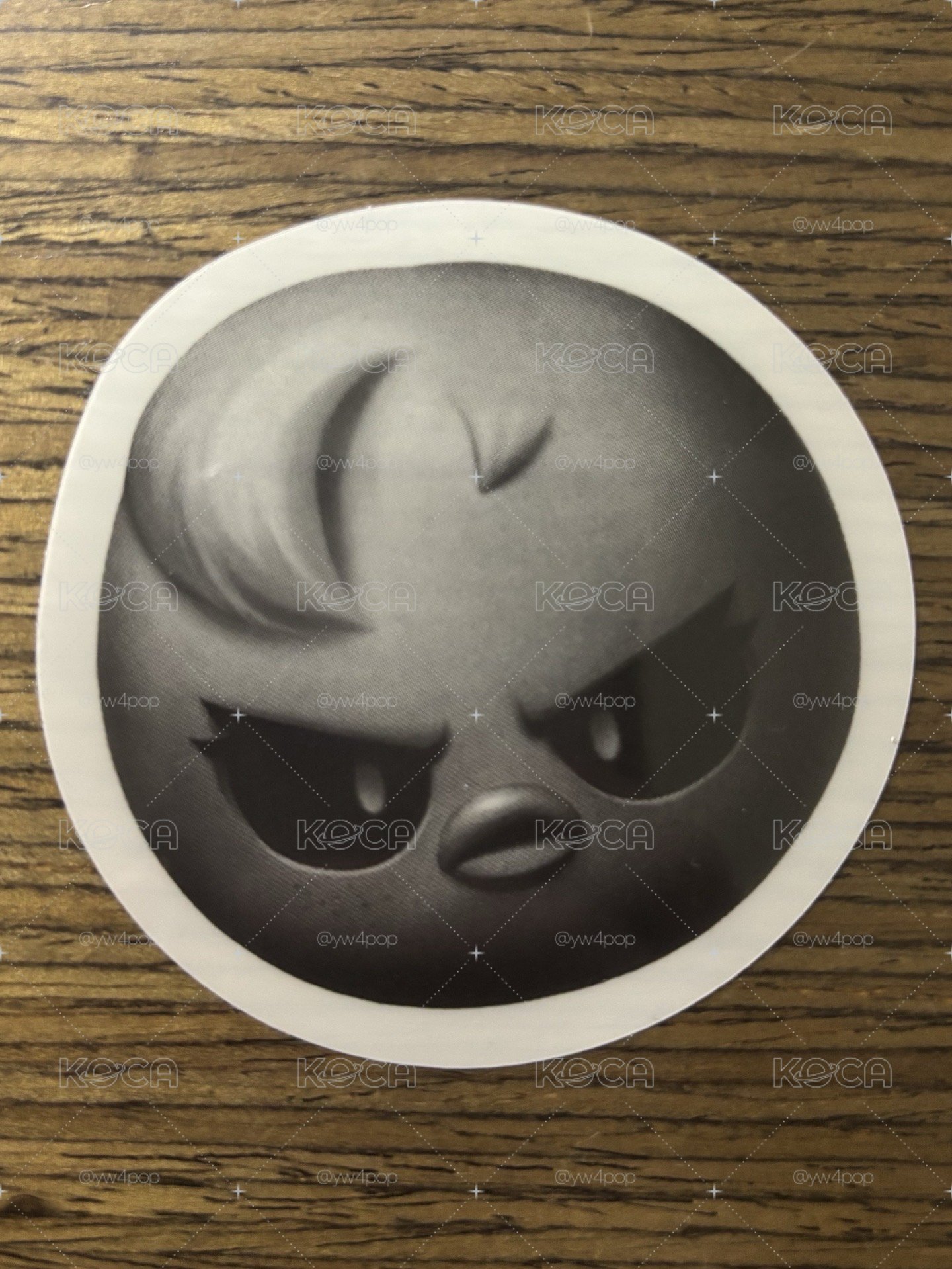 菲拍立得附Evil雞