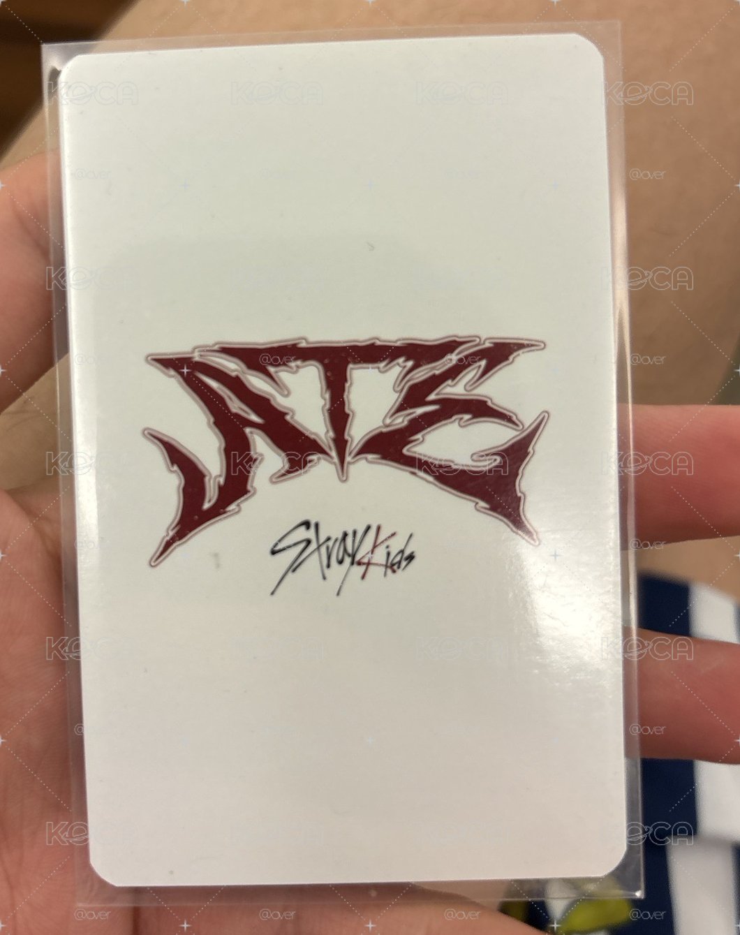 ATE bdm 特典卡 