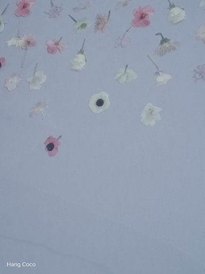 IU•絕版LILAC寫真集