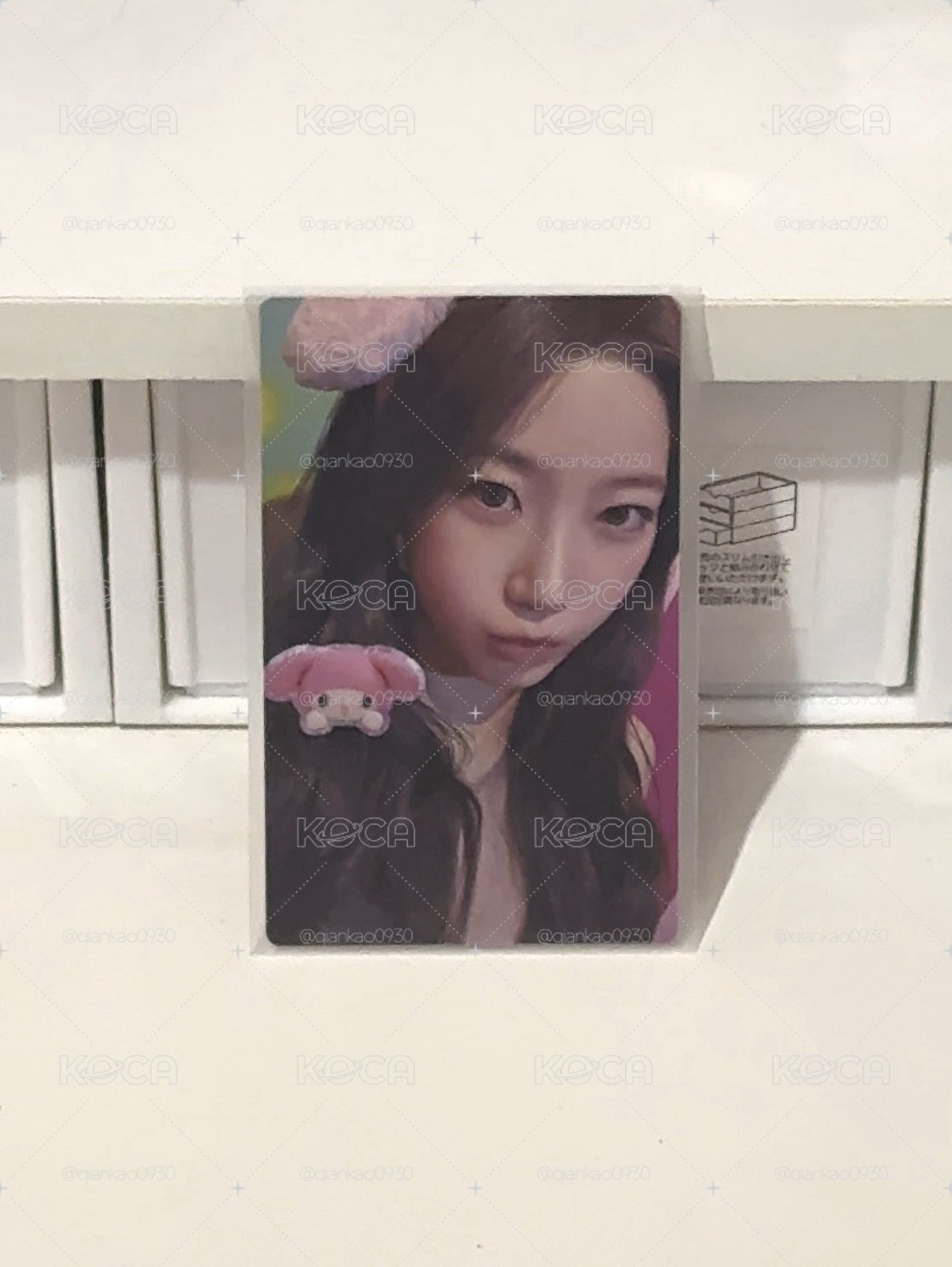 美樂蒂 葉