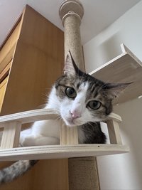 Bernie