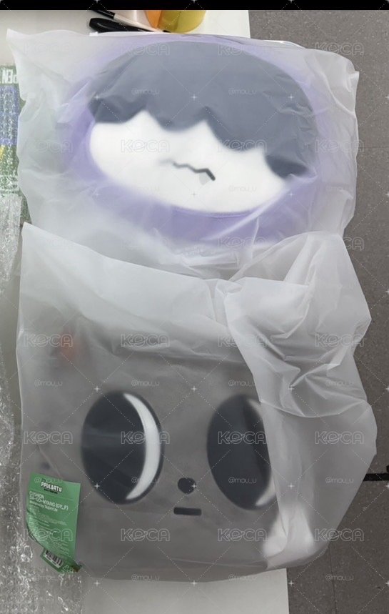 哼阿寧抱枕