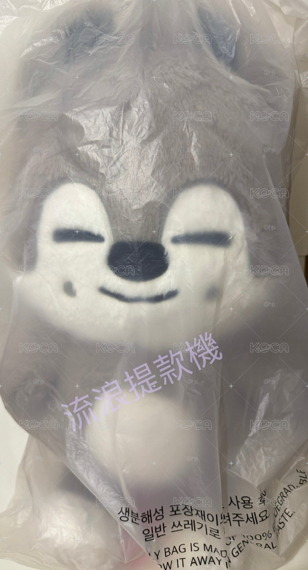 skzoo 燦泰迪