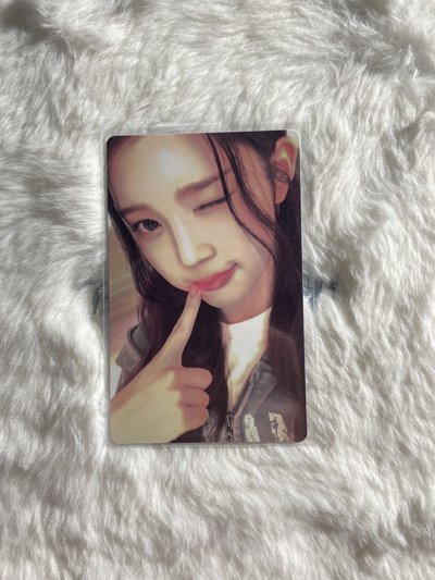 Ana Focus wvs 簽售卡 