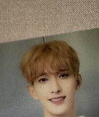 金髮小狗出去玩8張🚴變化卡廠損