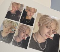 金髮黑衣小狗🐶5張