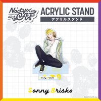 Noctyx貓咪 立牌 