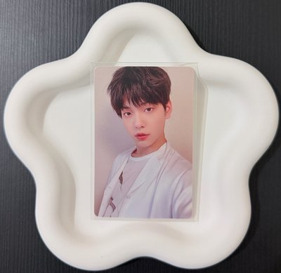 正二 中背彬 現貨 