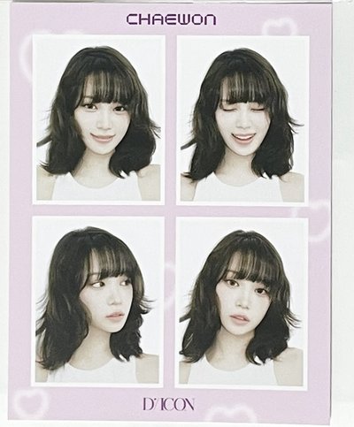 采源DICON wvs特典+人生四格照