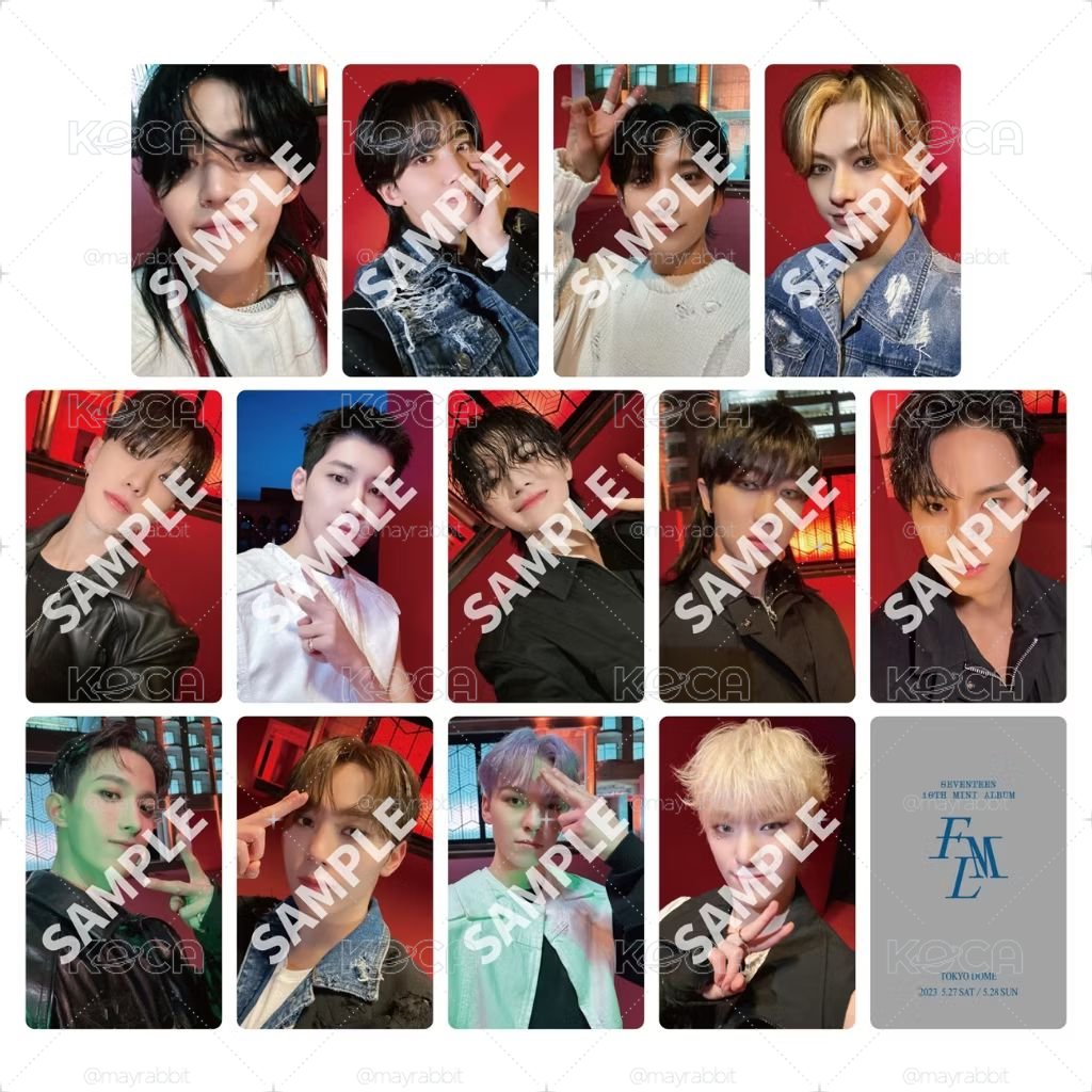 Seventeen  Face the sun 正四 週邊手機掛繩 含特典卡 知漢