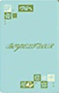 芝加哥 回憶錄 set 周邊卡  背面