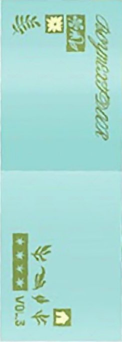 芝加哥 回憶錄 海報  背面