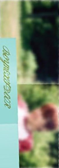 芝加哥 回憶錄 海報 