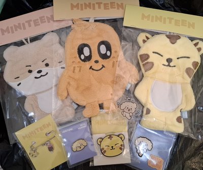 Miniteen 徽章/吊飾/擦手巾 (seventeen)