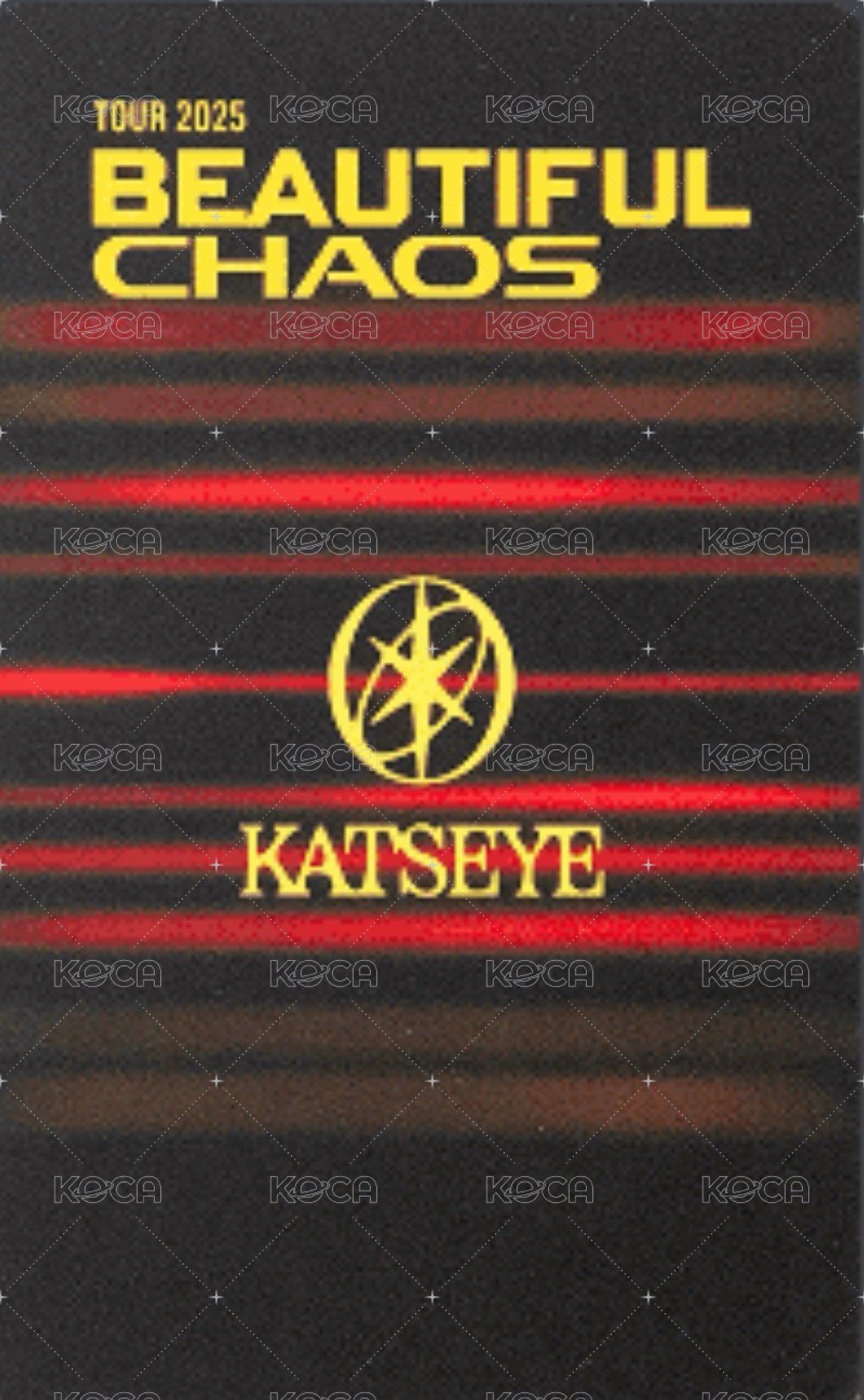 2025Tour 卡包小卡組 周邊卡  背面