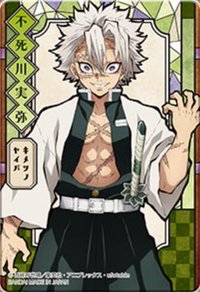 CARDS Carddass 隨機卡 彩繪玻璃卡 盲包ver.