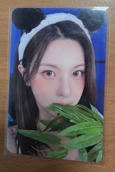 el熊貓裴