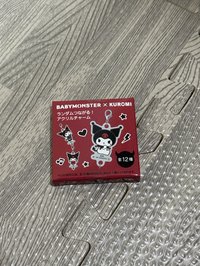 隨機小吊飾（12隨1）