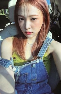 Cosmic SMini 專輯卡 陽光椰