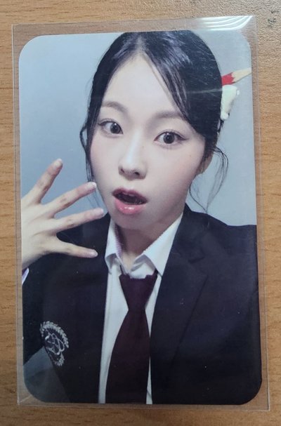 sw宮的圭