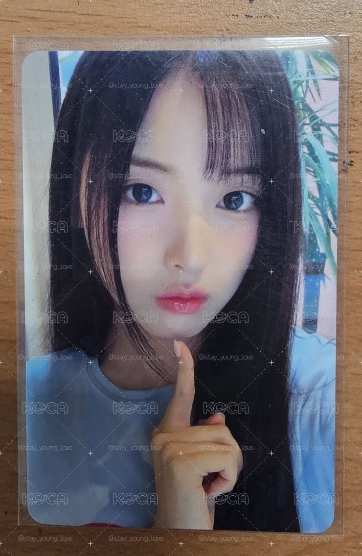陽光友