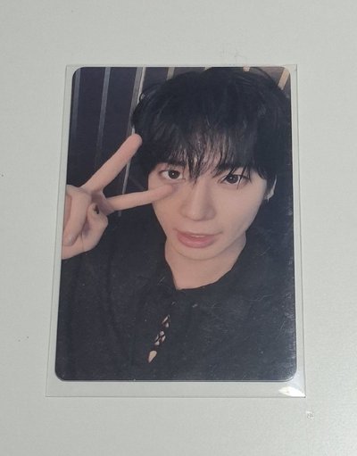 顯中背 （顯而易見貓懂你的心）