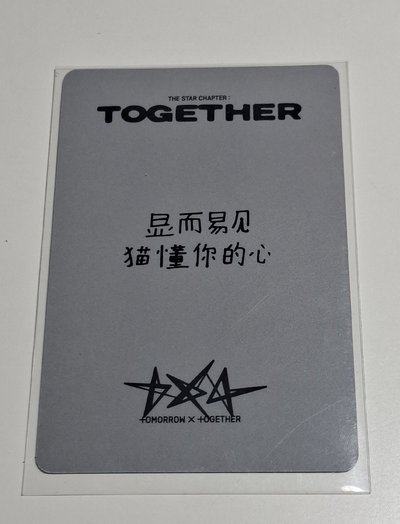 顯中背 （顯而易見貓懂你的心）