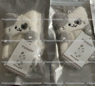 現貨 全新未拆 KKengEE 卡套 有卡（默認廠損）