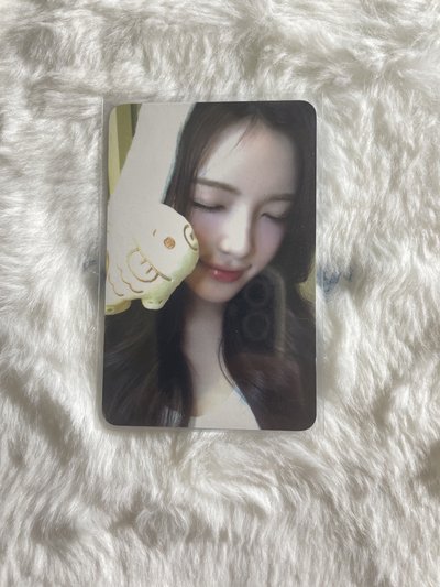 yuha 鯛魚燒 Focus k4 2.0 幸運卡 