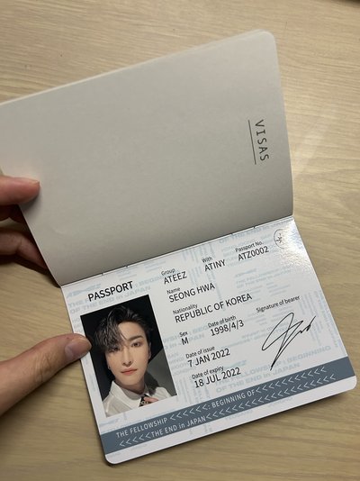 ATEEZ 朴星化 灰兔粉兔 大盤