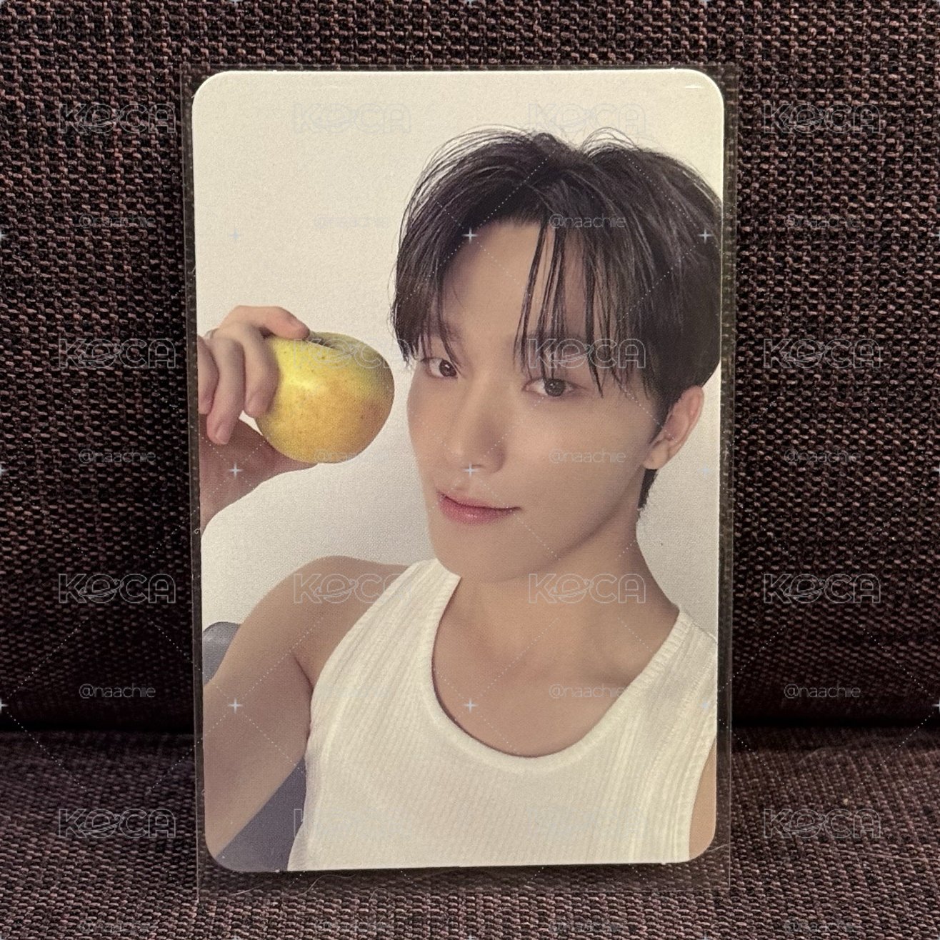 💛SEVENTEEN｜燦｜精選專 克拉盤隨機卡