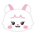迷七快閃line friends 抱枕 