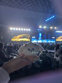 쭈꾸미zzz