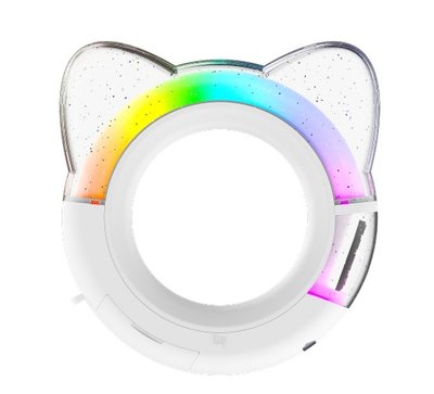 【現貨｜快速出貨】ITZY｜二代手燈｜二代貓耳