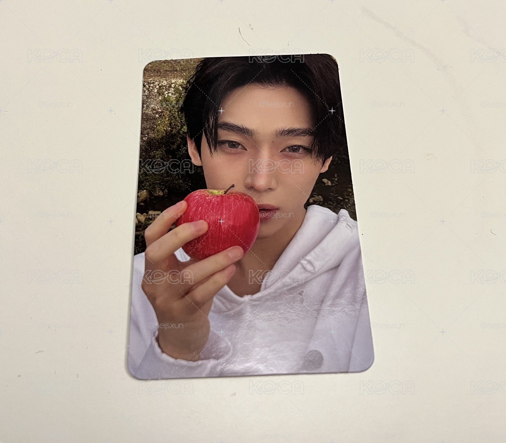 禹迷七專卡🍎(*≧ω≦)