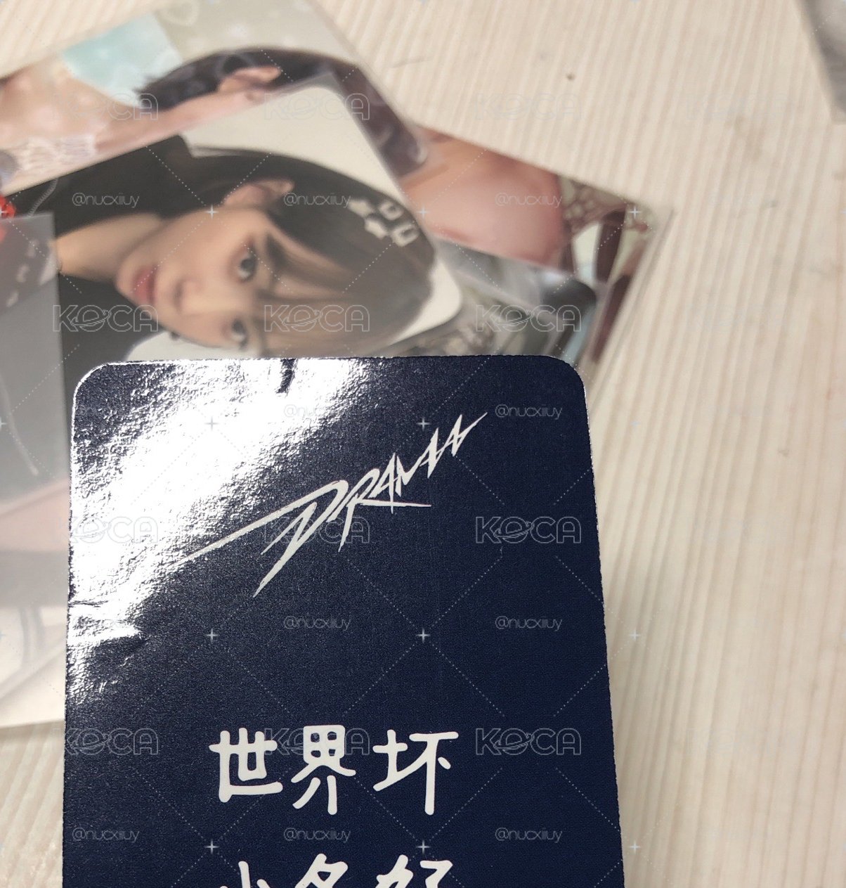 小熊冬