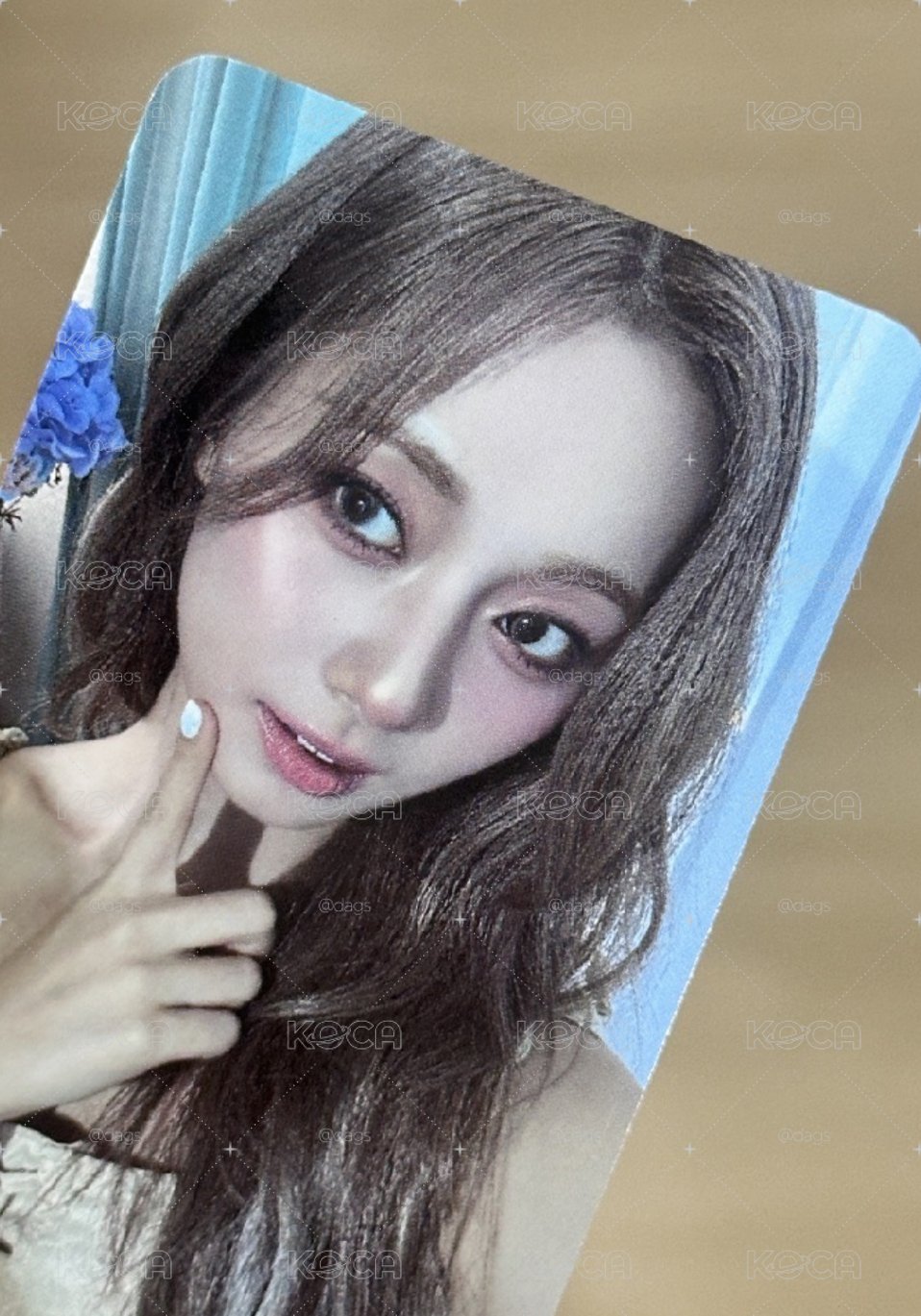 🐟特