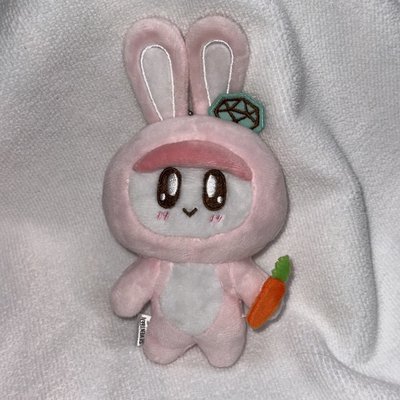 SEVENTEEN 日巡—兔子蹦蹦