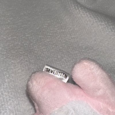 SEVENTEEN 日巡—兔子蹦蹦