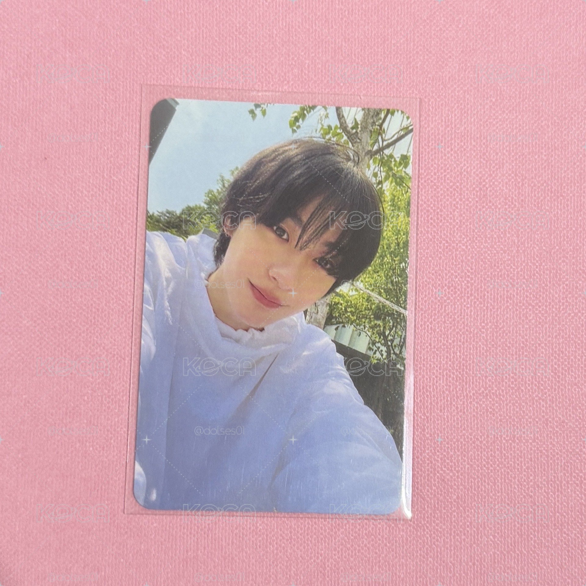 剛出道的桶寶