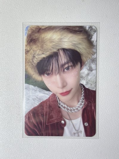 NCT 127｜Doyoung 雪帽貂盤