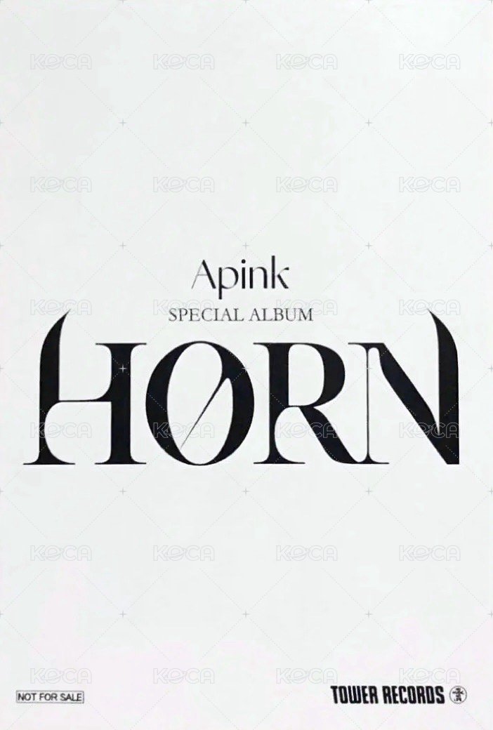 HORN 塔店 特典卡  背面