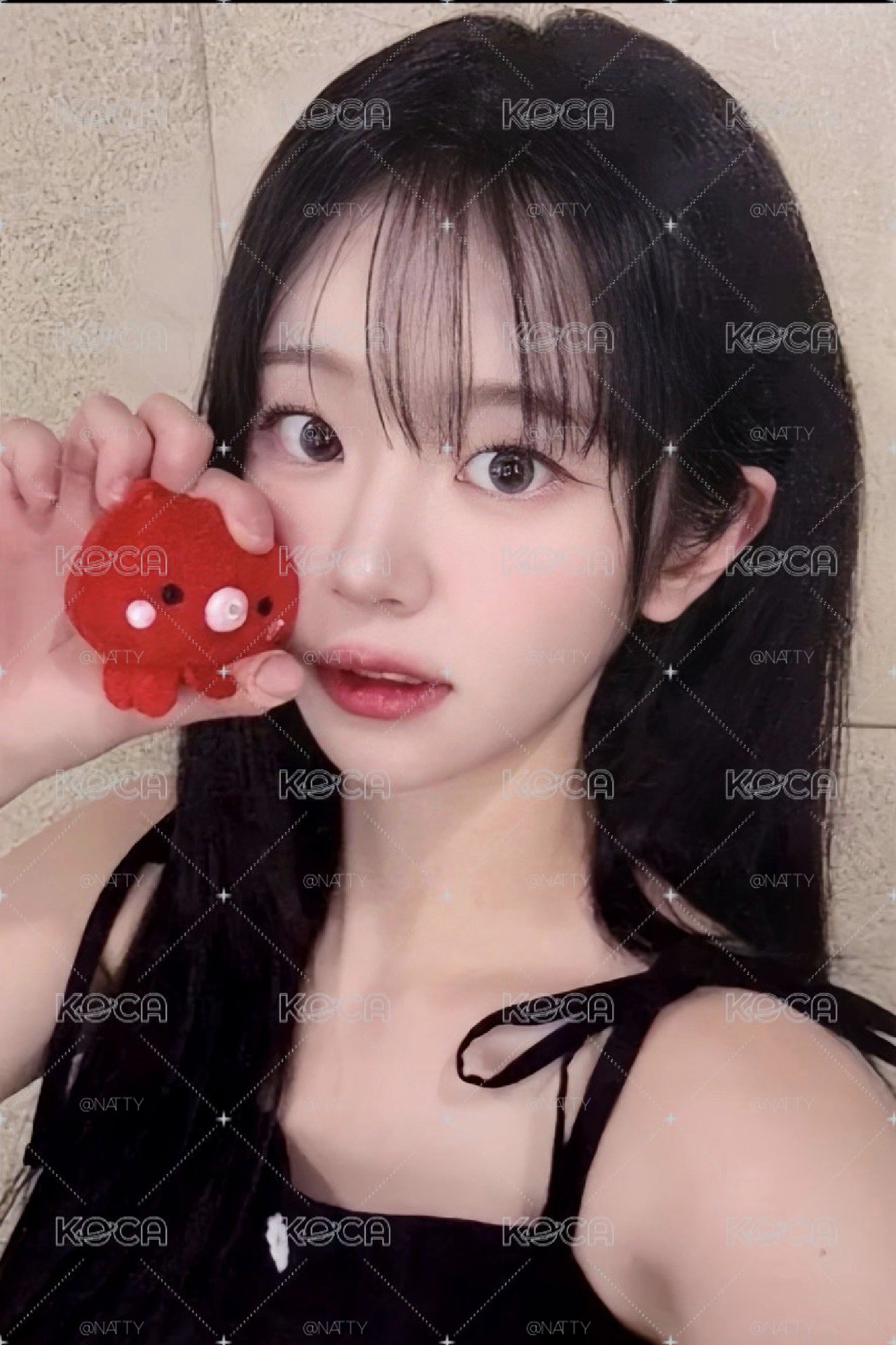 章魚燒丹