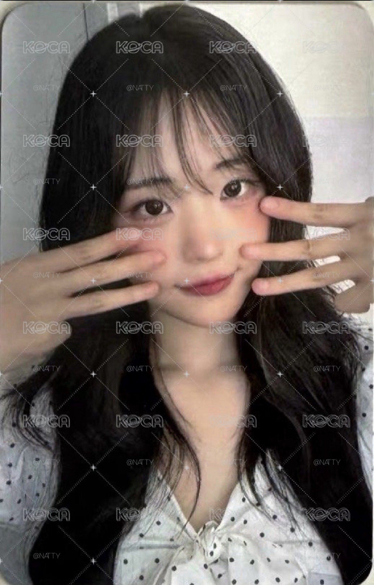 貓鬍鬚Hina