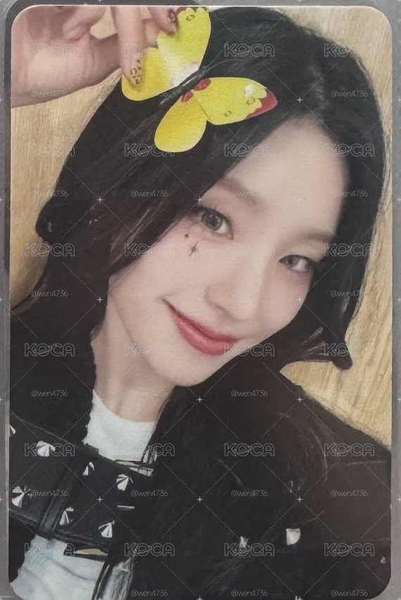 ITZY 志卡🐈‍⬛