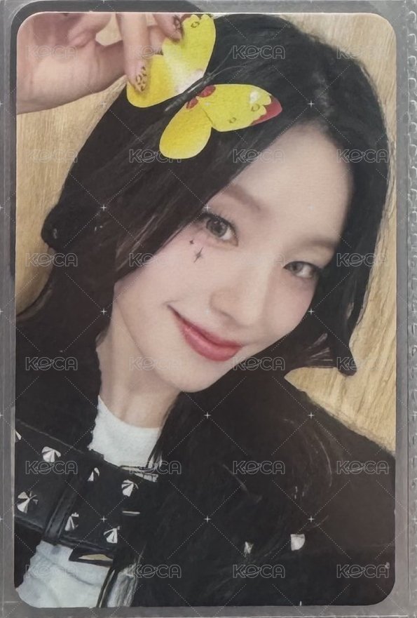 蝴蝶志